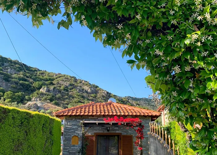 Dom wakacyjny Georgia's House Sykia